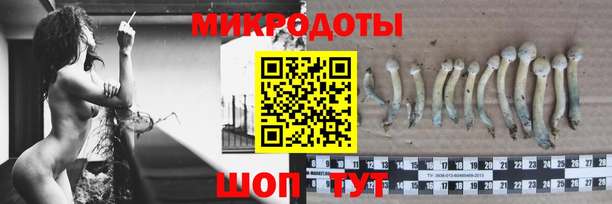 Галлюциногенные грибы ЛСД  Вход с VPN  Галлюциногенные грибы ЛСД  Заринск 